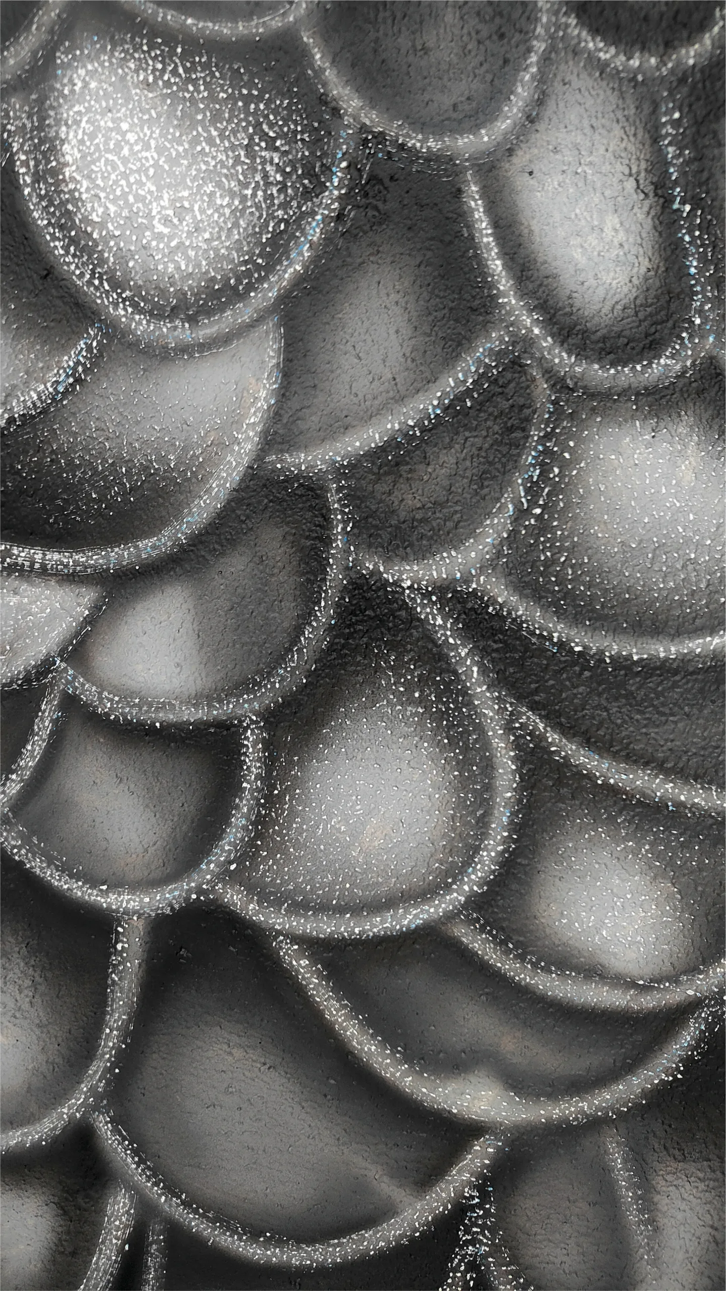 Close-up of the rooster’s layered grey feathers.